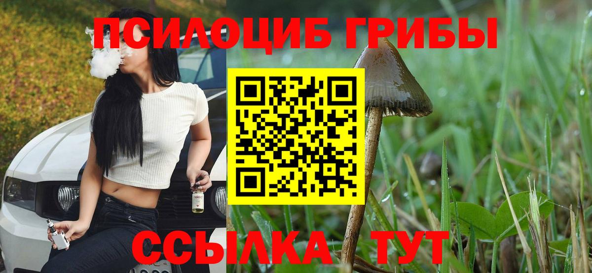 Псилоцибиновые грибы ЛСД Тара