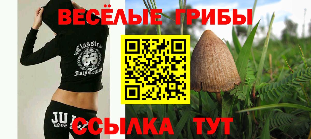 Тара  Галлюциногенные грибы GOLDEN TEACHER  Псилоцибиновые грибы Magic Shrooms  Вход с VPN 
